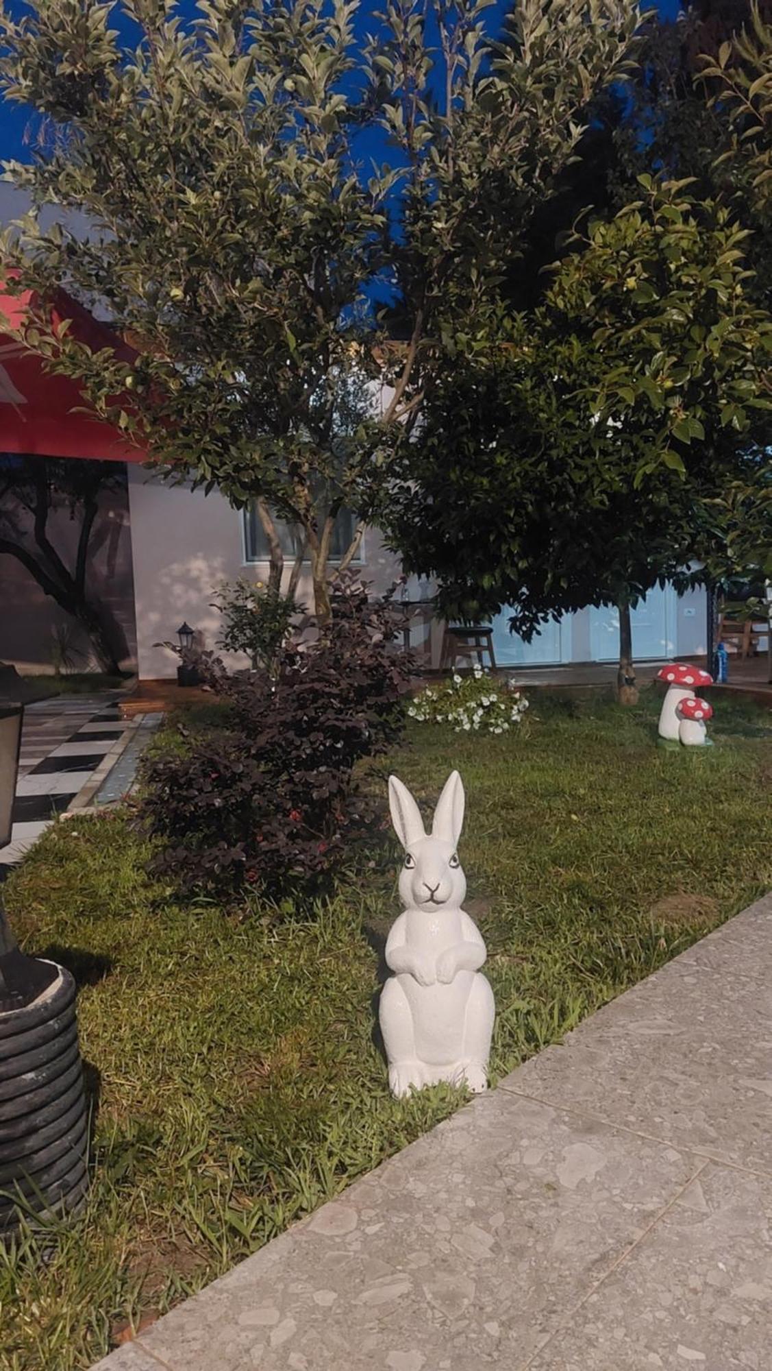 Vila Hyseni Durrës Zewnętrze zdjęcie